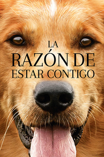 La razón de estar contigo